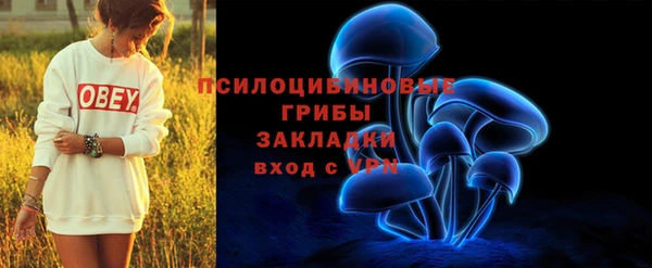 MDMA Верхний Тагил